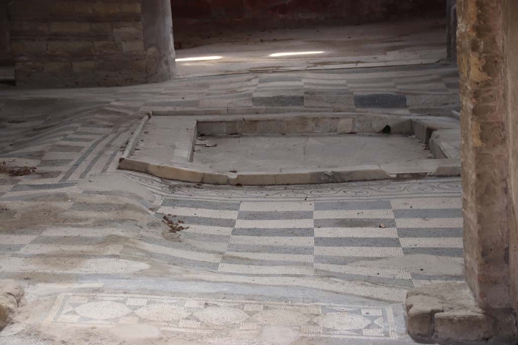 IV.2, Herculaneum, September 2017.
Looking east towards atrium showing the undulation of the mosaic flooring and impluvium.
Photo courtesy of Klaus Heese.